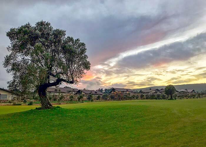 regnum golf Countrys