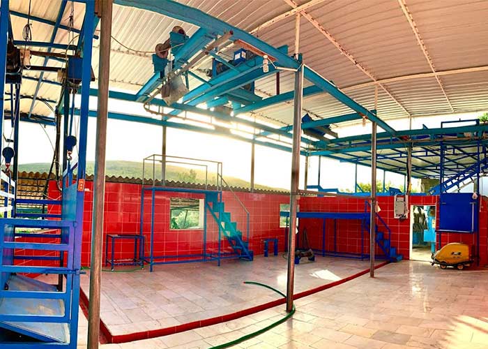 ummetoglu-hayvancilik